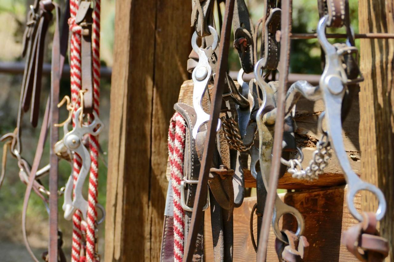 Bill Cody Ranch Exterior foto